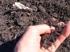 El compost es un componente muy rico en nitrógeno y materia orgánica. El compost es un componente muy rico en nitrógeno y materia orgánica.