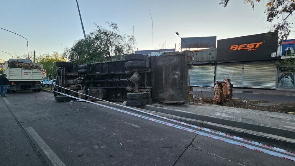 Un camión recolector chocó, volcó y derribó un árbol en la Costanera