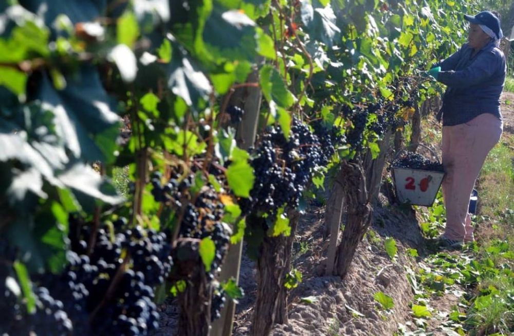 Coviar y el apoyo a pequeños productores