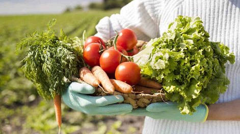Estas son las verduras para plantar a fin de enero en casa para una huerta orgánica