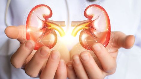 Los Andes | C4CQGLUKYVCFXLU4QDQPKMRRBM.jpg?quality=75&smart=true&auth=8c73072309d54544c01789c4641df88fbfc1f77cd80e99500ba805380e1dd15c&width=980&height=640