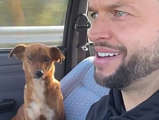Maikel Alievi rescató a una perrita en medio un torneo.&nbsp;