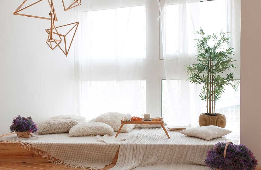 Con estas opciones vas a lograr mejorar el aire interior de la casa