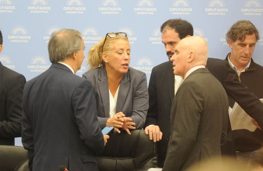 Los diputados José Luis Espert y Nicolás Mayoraz, de La Libertad Avanza, en el plenario de comisiones por la ley bases (Foto: Federico López Claro)