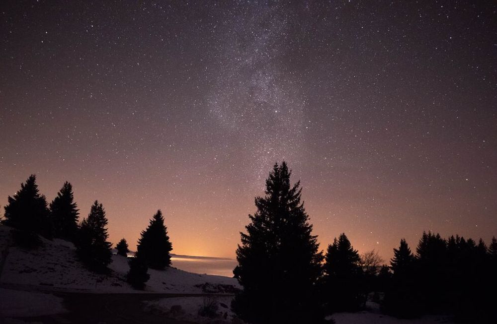 El horóscopo tiene una predicción que desorientó a Tauro