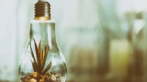 Los Andes | Hay varias maneras de reciclar los focos sin uso y crear nuevas obras para tu hogar.