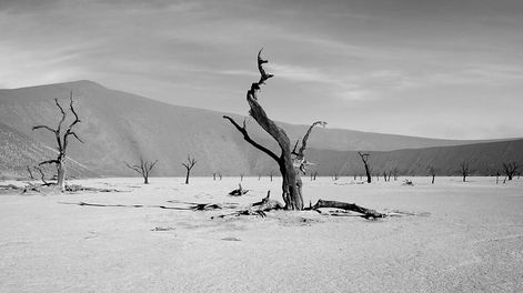 Desertificación: un proceso lento  que no se detiene