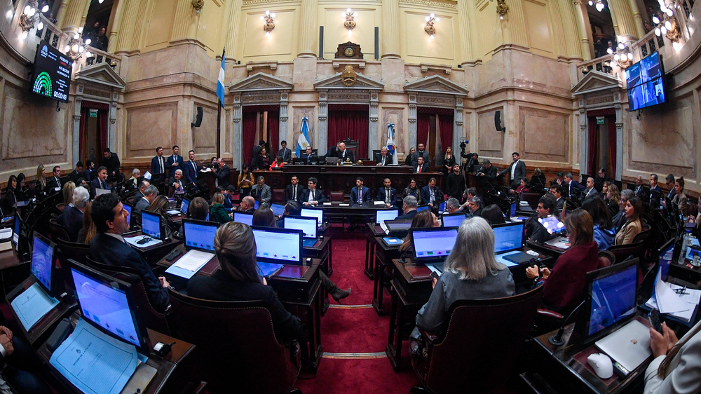 El Senado debate el proyecto de Propiedad Privada.