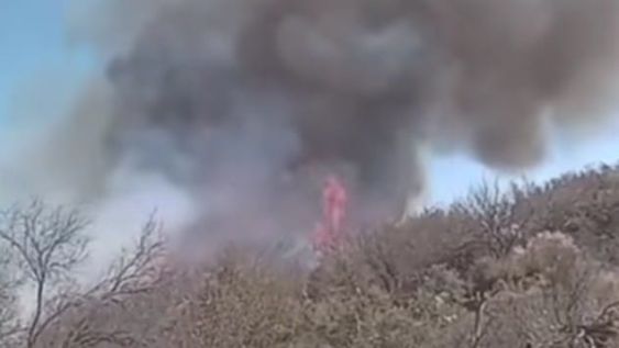 Otra vez se reavivó el incendio forestal en Las Catitas (Gentileza Enzo González)