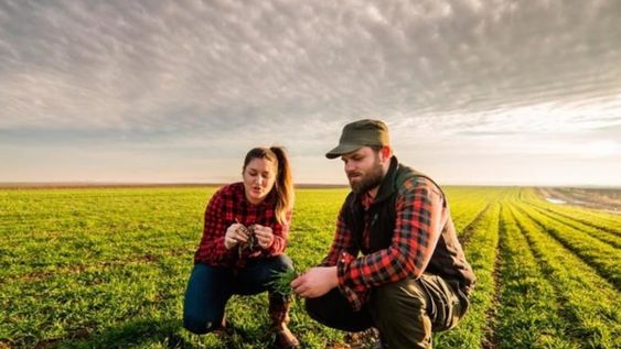 Según un estudio de la Universidad Austral, los estudiantes universitarios de carreras no afines al agro no ven en el sector potencial para su desarrollo profesional. Foto: Clarín