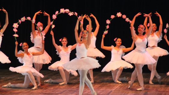 molina estrella es la primera escuela de danza homologada por la fundacion julio bocca