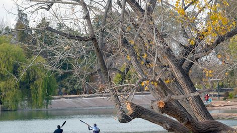 Invierno en Mendoza en el Parque General San Martín - Foto archivo / Los Andes
