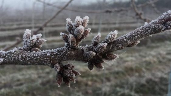 Hasta el 27 de enero se mantienen abiertas las inscripciones para el Repro dirigido a empleadores de Mendoza, La Rioja, Tucumán y Neuquén, afectados por la catástrofe metereológica.