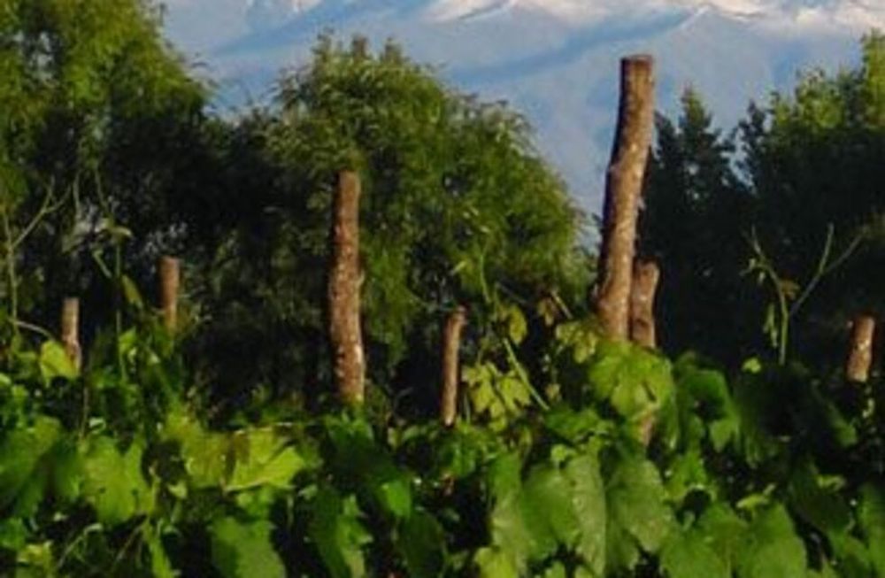 Turismo en Mendoza: empresarios del Valle de Uco se meten en el debate sobre precios, calidad y qué hace falta