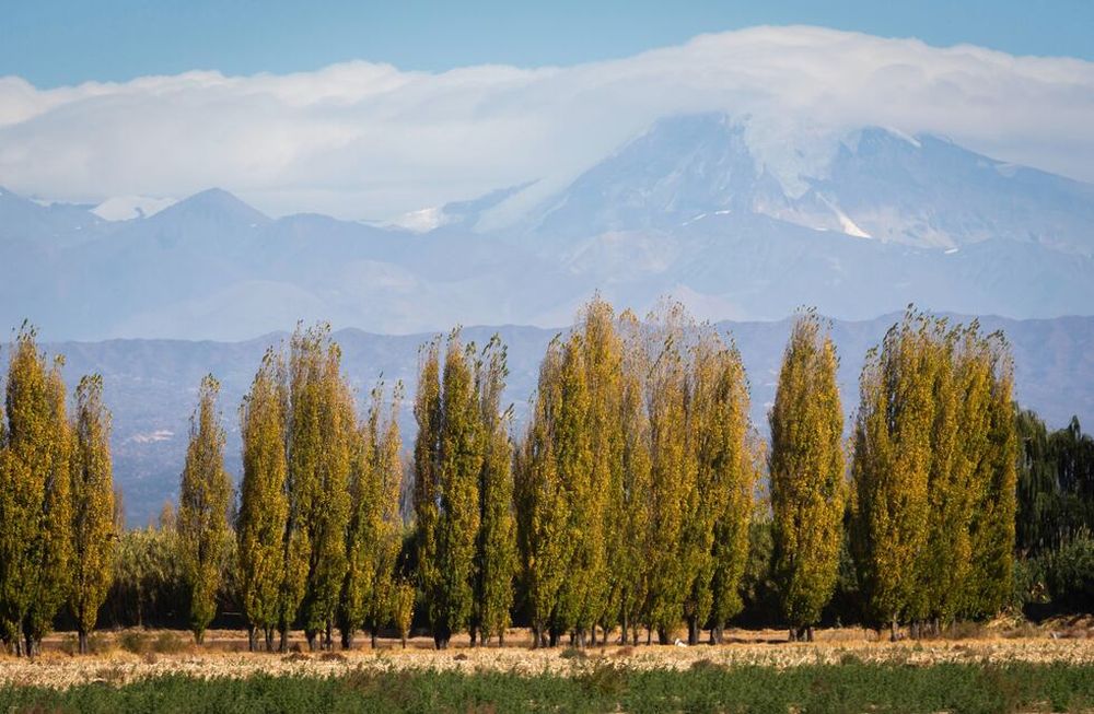 Ignacio Blanco / Archivo Los Andes
