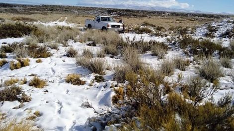Malargüe lideró el ránking de las localidades más frías del país el lunes con -7,7°. | Foto: gentileza