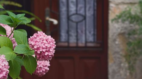 Las flores deben ser de color rosa y deben mantenerse frescas y bien ubicadas para un portal energético positivo.
