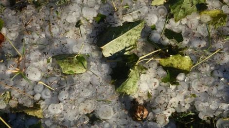 Los Andes | GE4DSMZVMQ2DQZBSG4ZWIYRQHA.jpg?quality=75&smart=true&auth=b2236fafce3f9ce69465a2ff53ae6f57924d89b2e758a6ed66e25779bca57b30&width=980&height=640