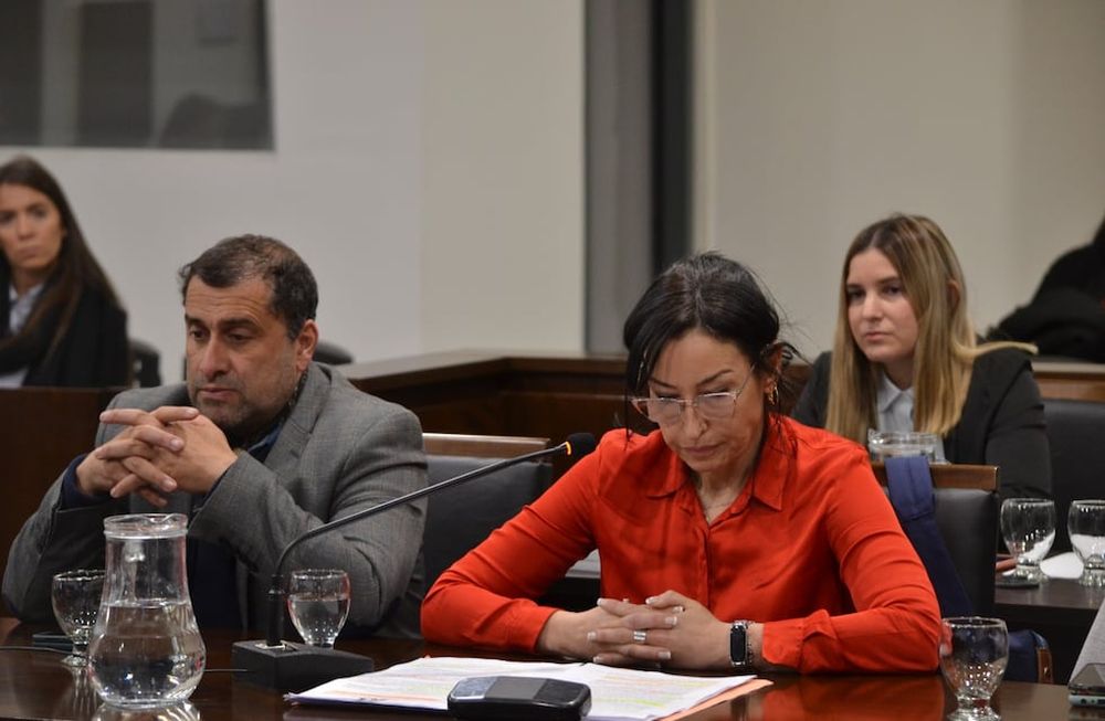 El abogado Pablo Cazabán y la fiscal de Homicidios Andrea Lazo, durante los alegatos del juicio por Guadalupe Codes. /Gentileza Poder Judicial.