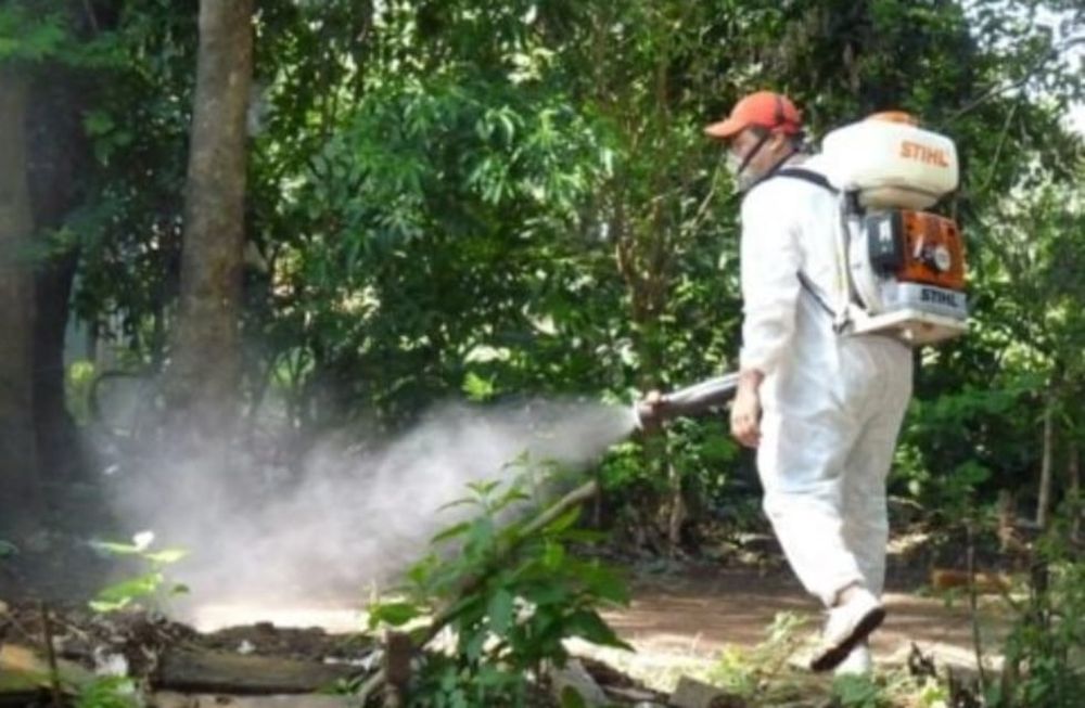 Suben los casos de dengue y chikungunya.