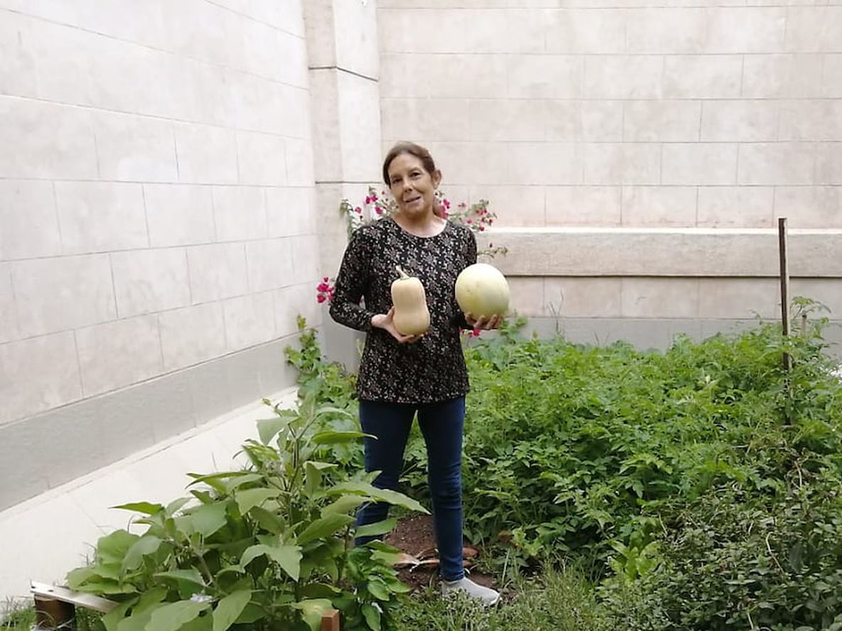 Cristina y Ángel jubilados pusieron una huerta en el patio de su casa.