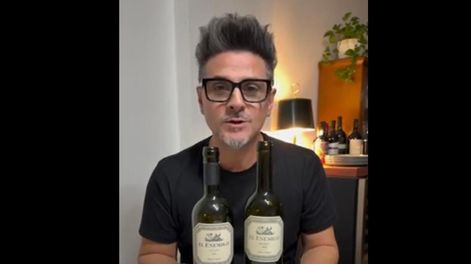 Alerta por la falsificación de vinos: detectaron una copia de reconocida bodega mendocina.