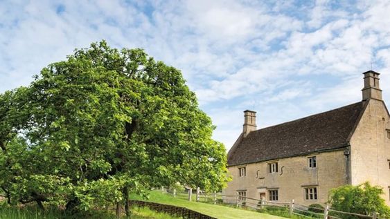 Clonaron el manzano de Newton. Se trata de un proyecto de preservación que busca clonar el manzano que lo inspiró en la creación de la ley de gravitación universal