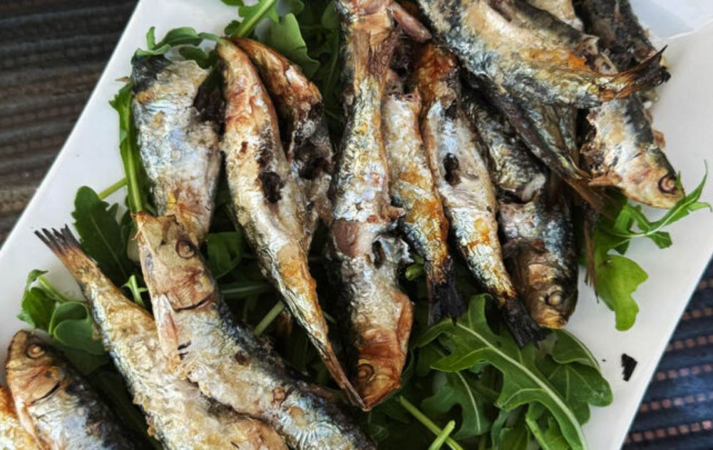 Las sardinas pueden hacerse al horno, a la parrilla o conservadas en aceite de oliva virgen extra bien escurrido.