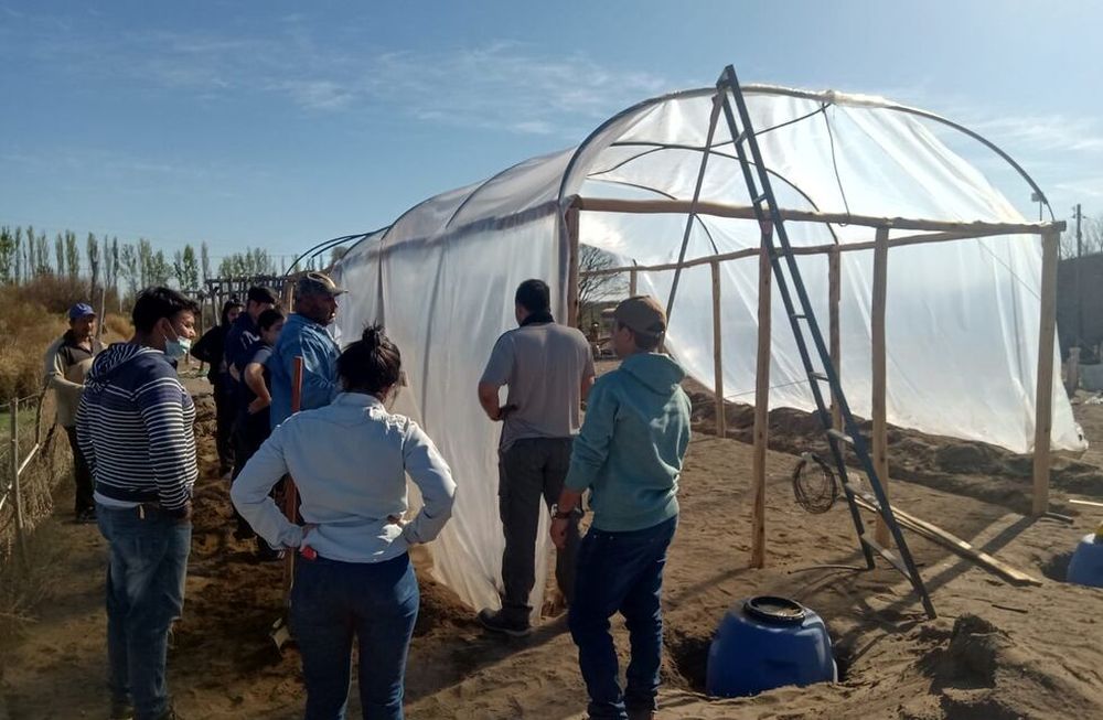 Alumnos de una escuela de La Llave (San Rafael) desarrollan un proyecto de hidroponia, con el municipio y el INTA, para cultivar hortalizas ante la crisis hídrica