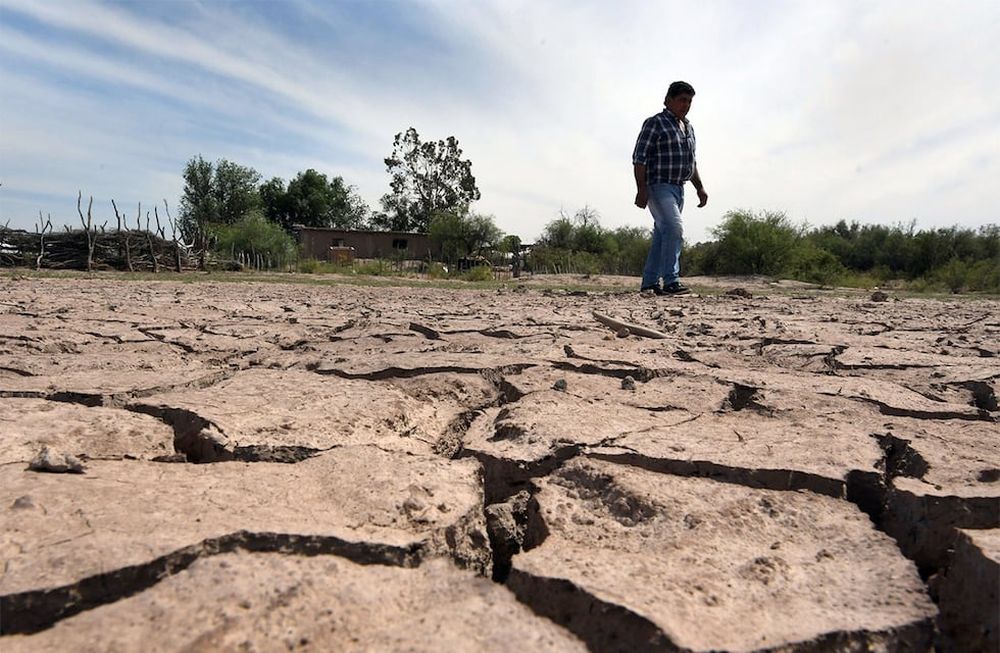 Mendoza, 22 de noviembre de 2018   Sociedad EconomiaLavalle- Puesto San Jose. Puesteros viven en los solitarios parajes rodeados de desierto. La sequia en Lavalle y problemas con ganados caprino aumentan con las temperaturas del verano .Foto: Orlando Pelichotti/  Los Andes