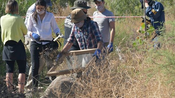 Policías federales, gendarmes y antropólogos rastrillaron el predio del viejo autódromo General San Martín. Foto: Orlando Pelichotti / Los Andes
