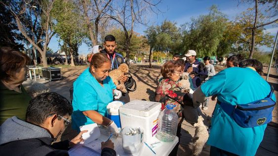 La Ciudad acerca algunos consejos para el cuidado de los animales