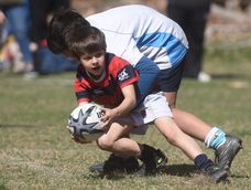Una fiesta del rugby infantil se producirá en Los Tordos con 2.500 chicos y clubes de Argentina y Chile