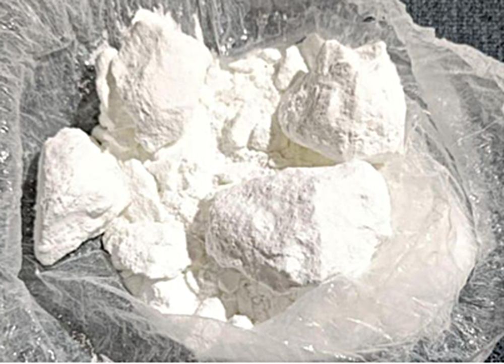 La cocaína secuestrada. Gentileza Policía Federal. 