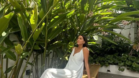 Los Andes | Zaira Nara y su amor por las plantas: así las puso en su casa para renovar el ambiente.