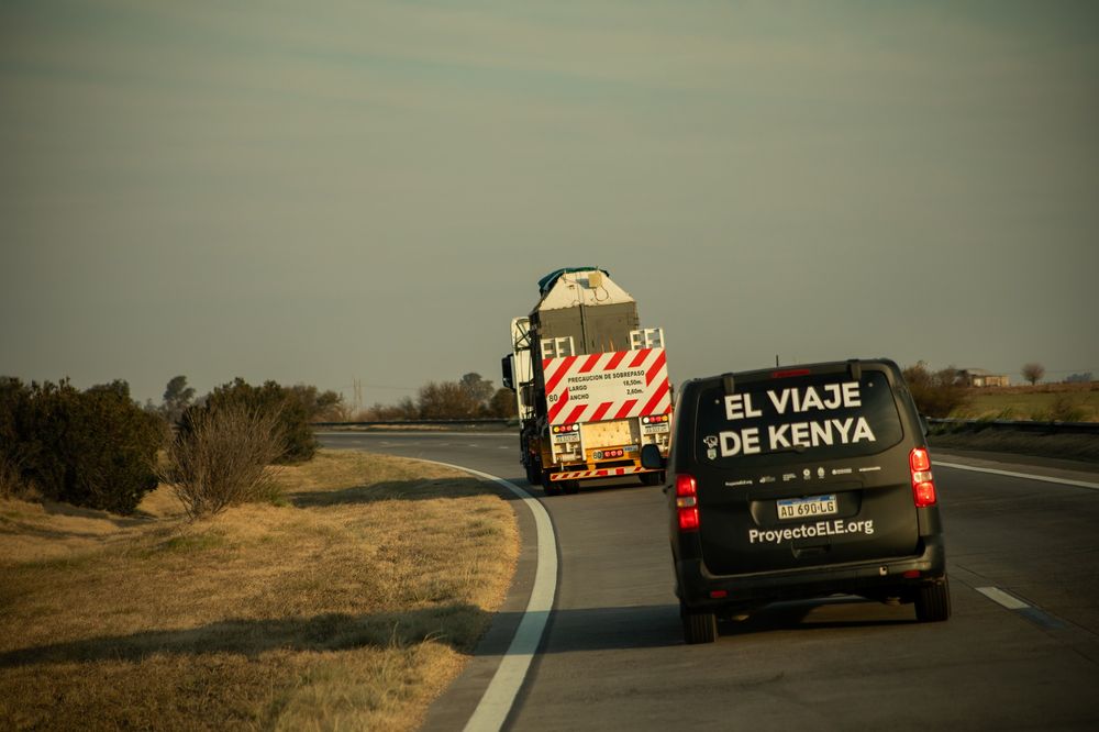 Kenya ya llegó a Brasil y no quedan elefantes en Argentina: las mejores fotos y momentos del viaje que empezó en Mendoza. Foto: Gentileza ProyectoELE.org | Fundación Franz Weber.