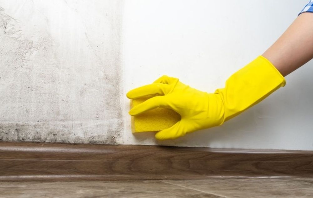 No es recomendable continuar aplicando productos una y otra vez sobre una pared que permanece húmeda.