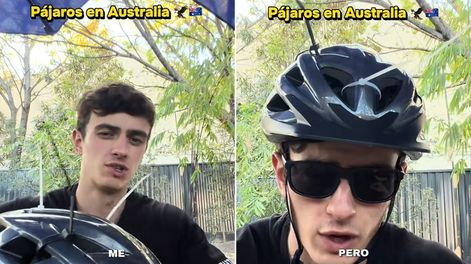 Insólita amenaza que viven a diario los repartidores en Australia.