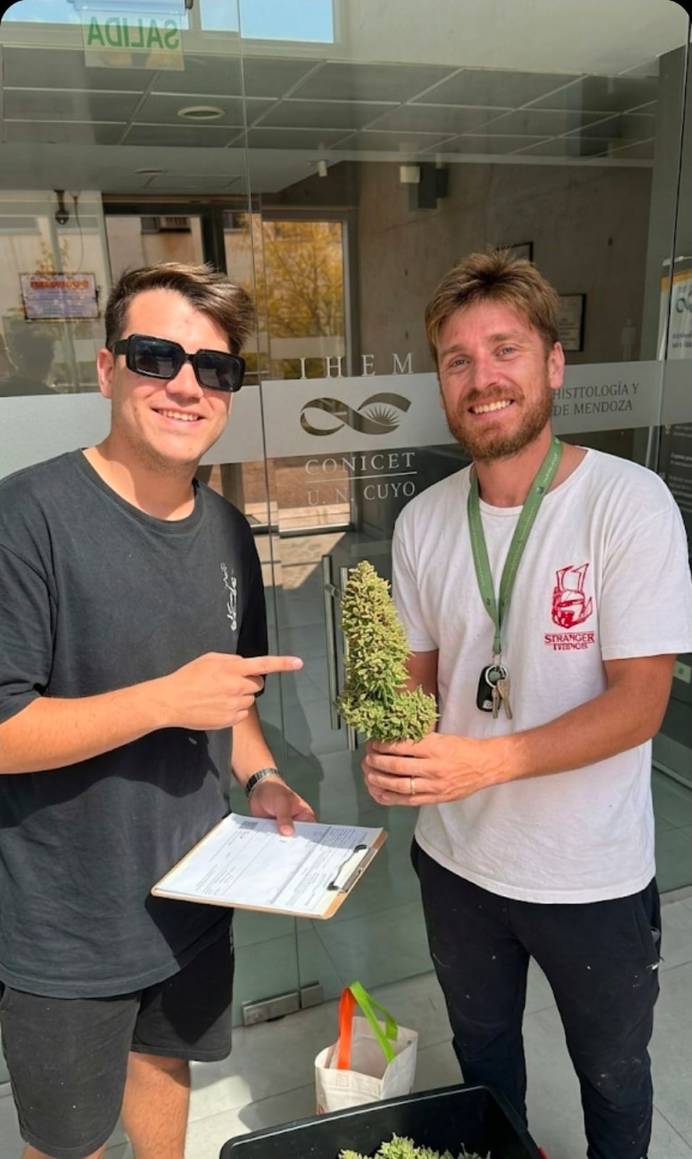 Cannabis medicinal: el inédito proyecto mendocino para producir a 3,000 msnm y que aportará información clave