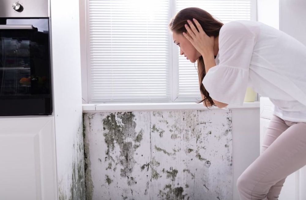 Cómo deshacerse de la humedad en simples pasos