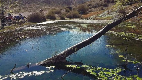 Paraje. En la concurrida Laguna de los Cangrejos resaltan la flora y la fauna autóctona que puebla los alrededores. Foto: Ariel Querini / Los Andes.