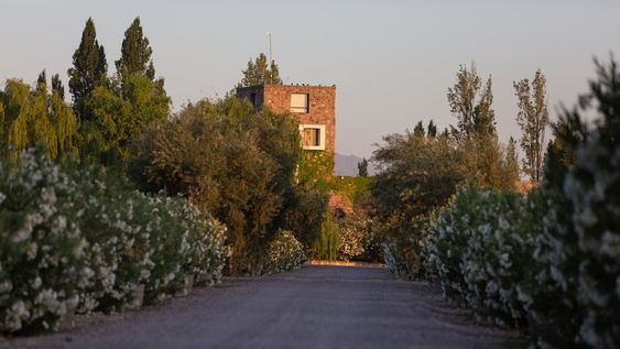 Bodega Renacer: Punto Final Reserva “Cortes” en marcha