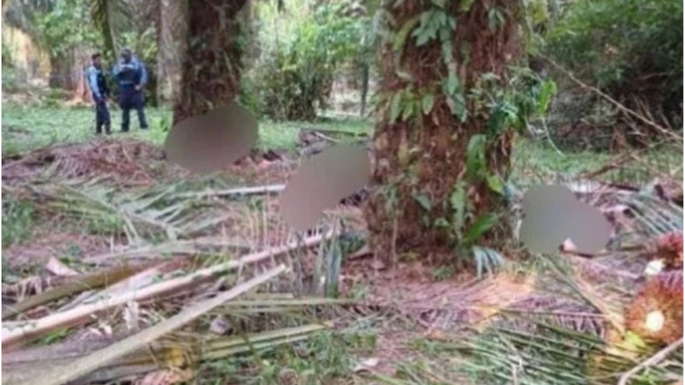 Terror en Honduras: más de 10 personas asesinadas durante una masacre en una finca