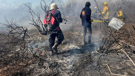 Se reactivó el incendio en Las Catitas y lo están conteniendo con cortafuegos (Gentileza, para Los Andes)&nbsp;