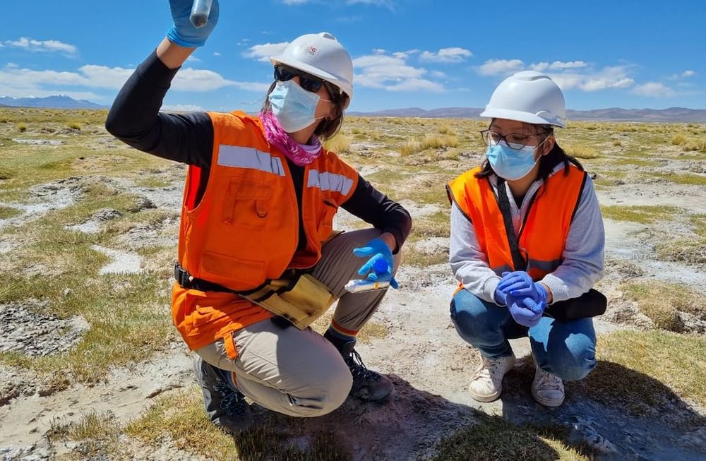 La actividad minera promueve a su vez el desarrollo de empresas activas que proveen bienes y servicios a las compañías enfocadas en el rubro.