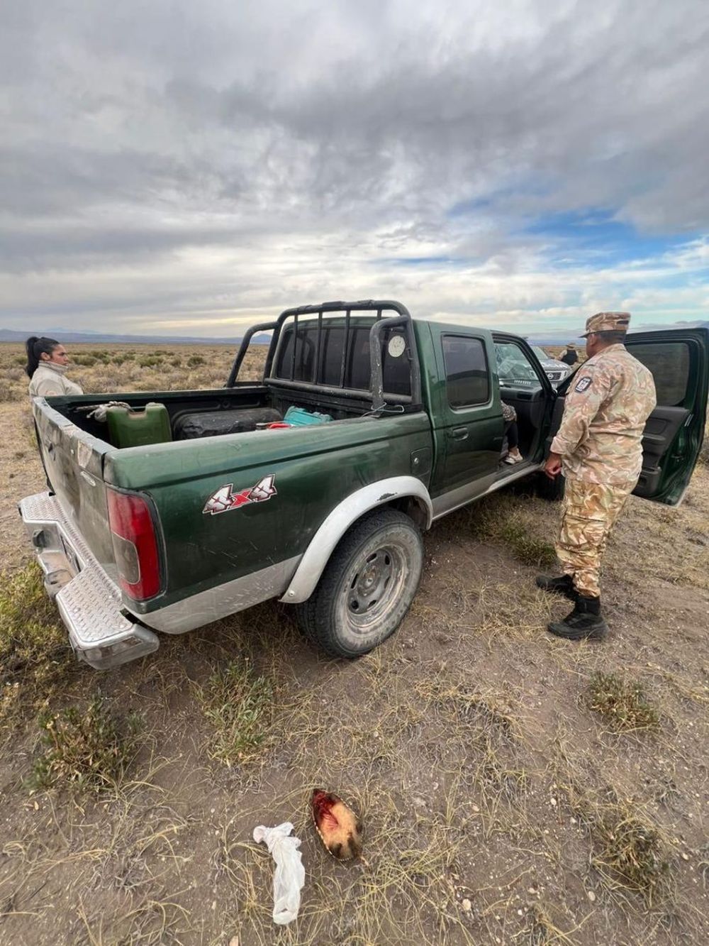 Policía Rural detectó un ejemplar de piche sin vida, víctima de caza furtiva en San Rafel