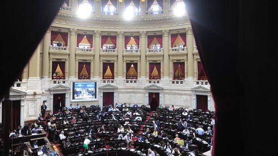 La Cámara de Diputados continúa el debate del proyecto de ley “Bases y Puntos de Partida para la Libertad de los Argentinos” impulsada por el Gobierno nacional. Foto Federico Lopez Claro