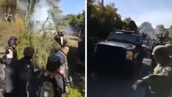 Al menos 11 narcos murieron en un tiroteo con fuerzas de seguridad en México. Un mono, mascota de la pandilla y que tenía un chaleco antibalas, también murió en la balacera.