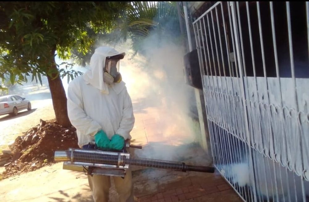 Mendoza, en alerta por 14 casos de dengue detectados y la marcada suba a nivel nacional