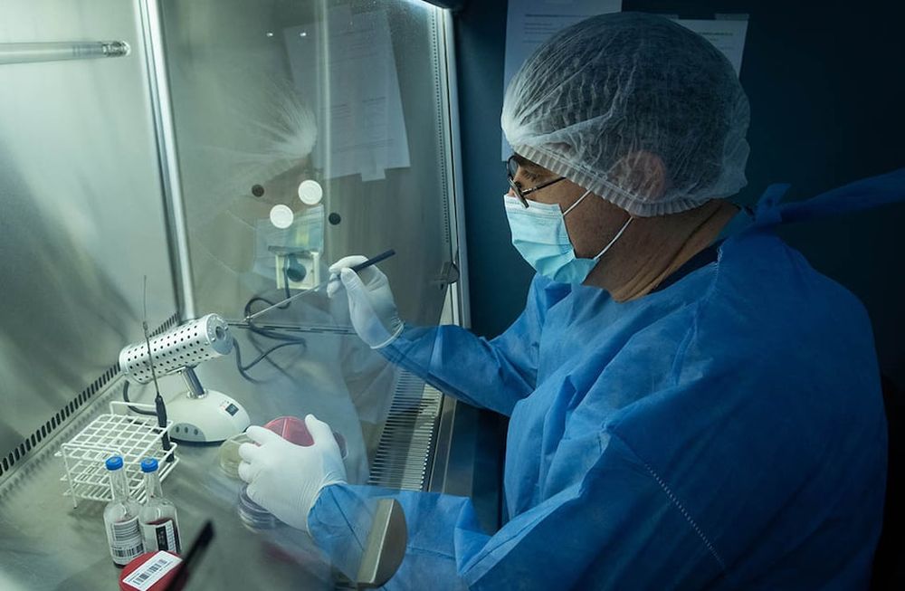 La OMS advierte que la variante ómicron es preocupante. - Los Andes